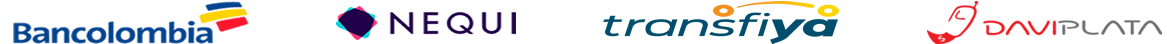 Pagos Camaras de Seguridad